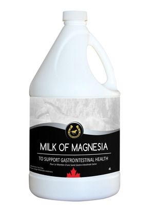 Milk of Magnesia - Équipements Équin LM / LM Tack Shop